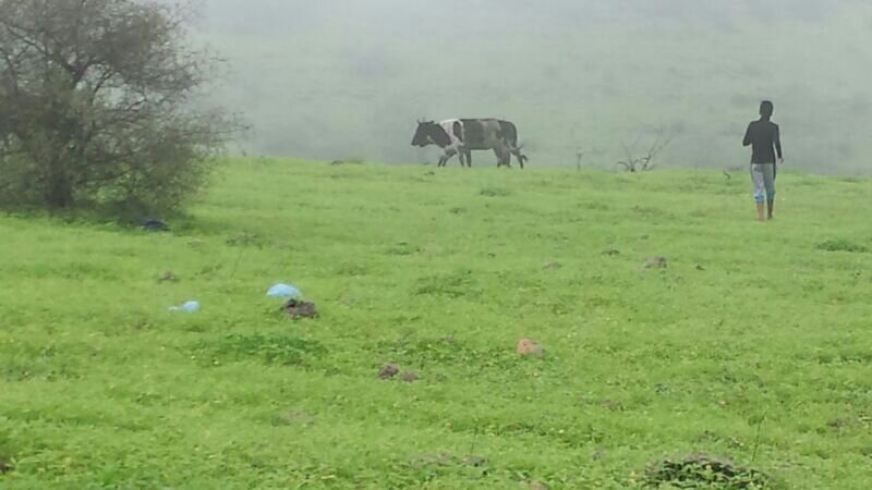 :	uploadfromtaptalk1405257918313.jpg
: 67
:	52.9 