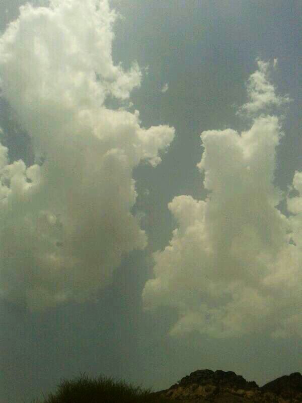 :	uploadfromtaptalk1405329263867.jpg
: 89
:	41.1 