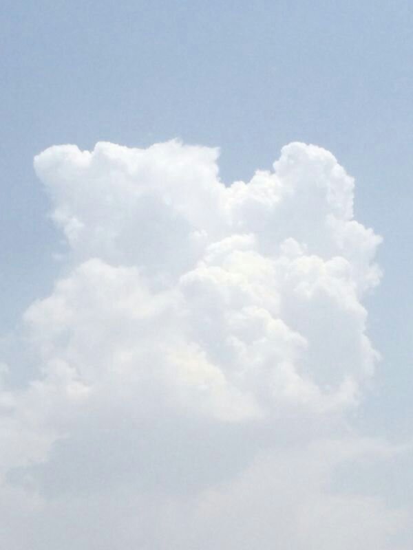 :	uploadfromtaptalk1405503907927.jpg
: 57
:	24.9 