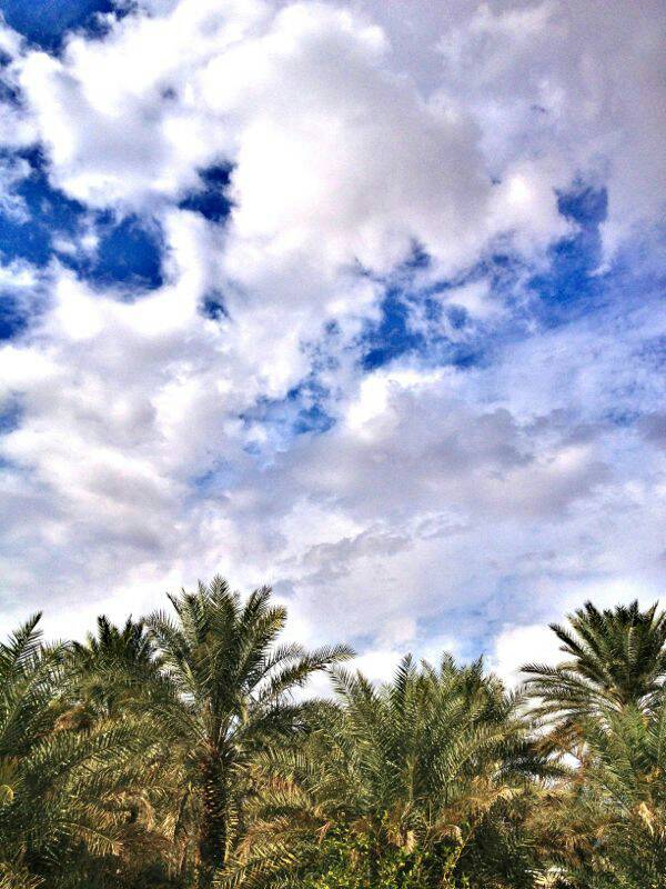:	uploadfromtaptalk1354528773082.jpg
: 59
:	90.6 