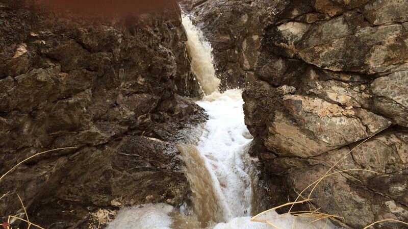 :	uploadfromtaptalk1405519364502.jpg
: 162
:	97.8 