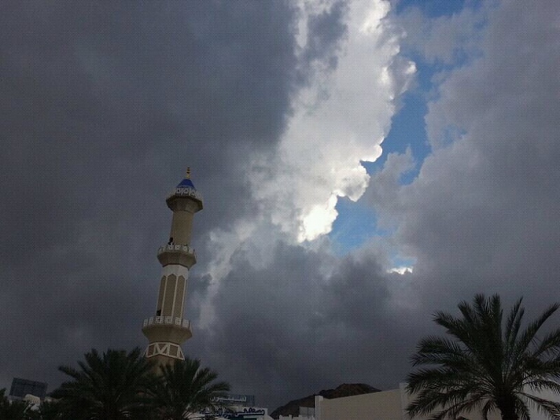     . 

:	uploadfromtaptalk1354529512641.jpg 
:	83 
:	99.4  
:	1468