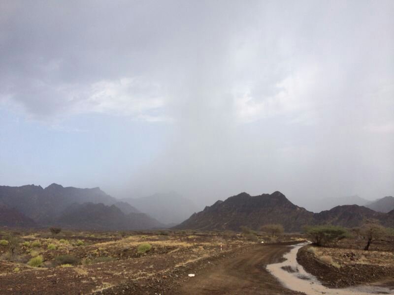 :	uploadfromtaptalk1405519377835.jpg
: 145
:	42.9 