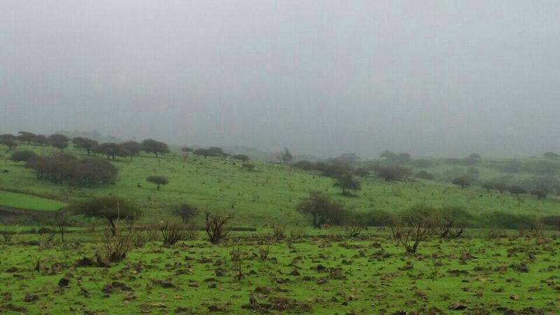     . 

:	uploadfromtaptalk1405539126698.jpg 
:	141 
:	62.9  
:	14682