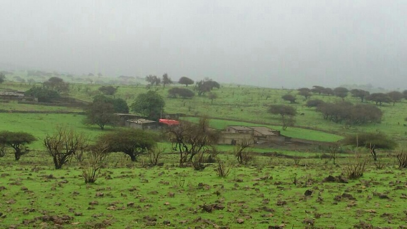     . 

:	uploadfromtaptalk1405539134572.jpg 
:	141 
:	79.4  
:	14683