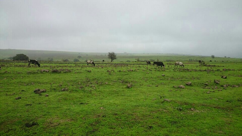     . 

:	uploadfromtaptalk1405539143242.jpg 
:	128 
:	86.7  
:	14684