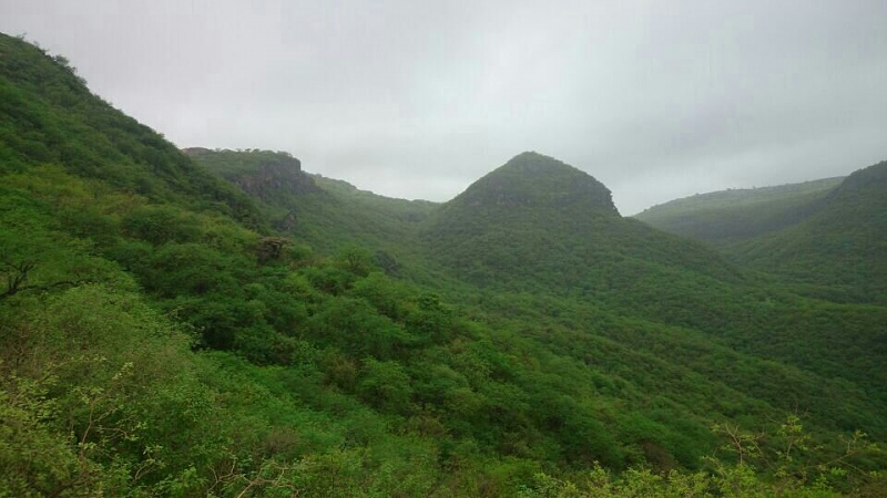     . 

:	uploadfromtaptalk1405539152806.jpg 
:	116 
:	74.5  
:	14685