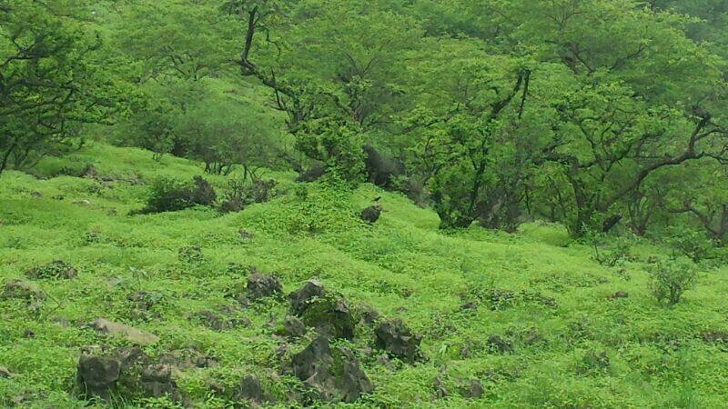 :	uploadfromtaptalk1405539236612.jpg
: 246
:	88.8 