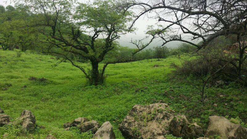 :	uploadfromtaptalk1405539243163.jpg
: 264
:	97.6 