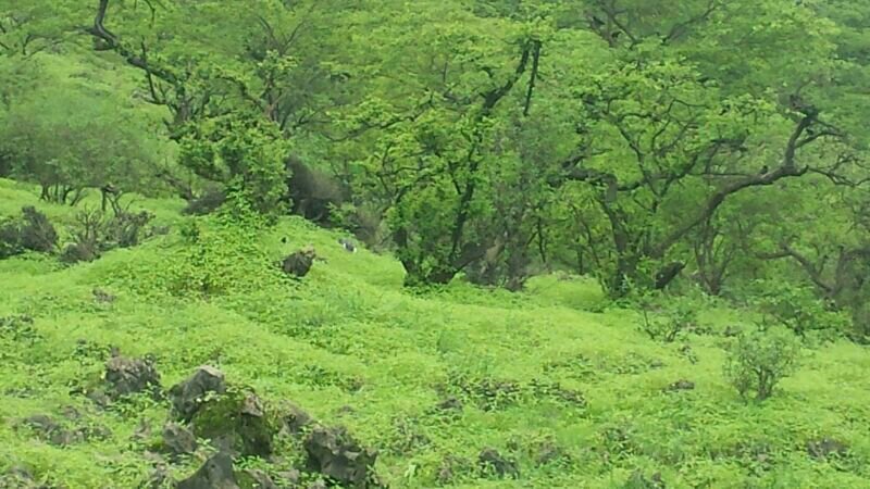 :	uploadfromtaptalk1405539248551.jpg
: 127
:	100.7 