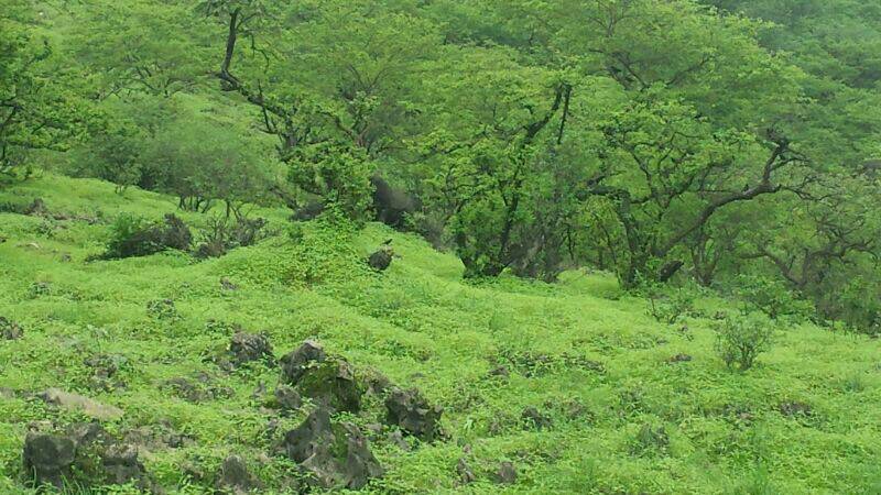 :	uploadfromtaptalk1405539260122.jpg
: 140
:	89.9 