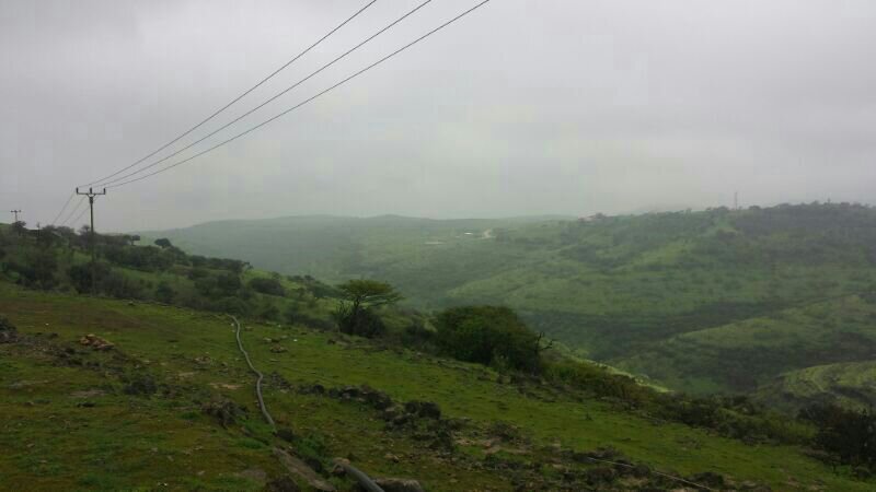 :	uploadfromtaptalk1405539270161.jpg
: 161
:	40.4 