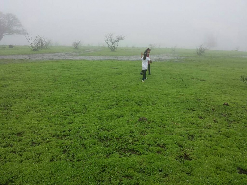     . 

:	uploadfromtaptalk1405765229360.jpg 
:	211 
:	101.0  
:	14719
