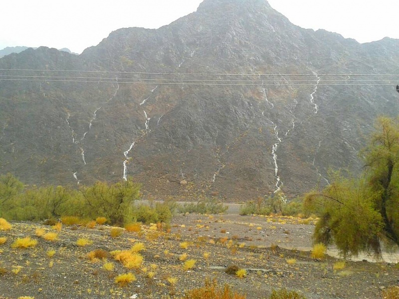     . 

:	uploadfromtaptalk1405864578911.jpg 
:	80 
:	112.3  
:	14778