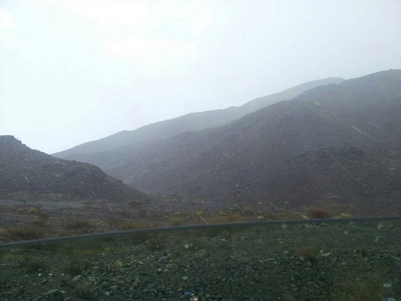     . 

:	uploadfromtaptalk1405937771684.jpg 
:	80 
:	52.1  
:	14823