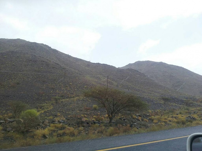     . 

:	uploadfromtaptalk1405937786896.jpg 
:	78 
:	68.8  
:	14824