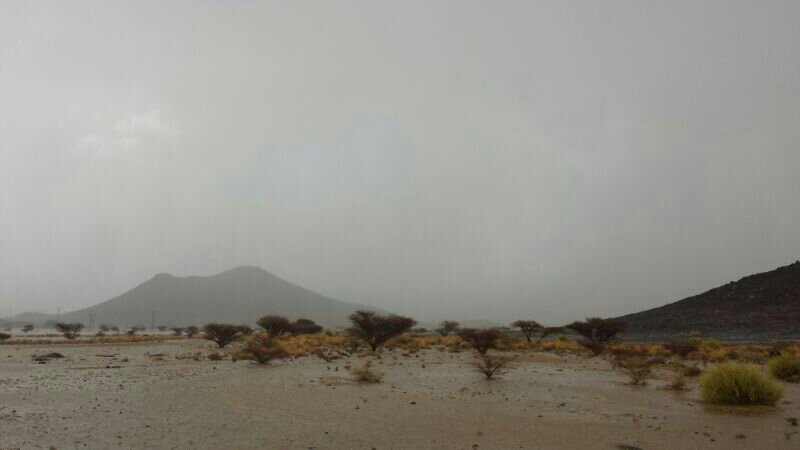 :	uploadfromtaptalk1405951085262.jpg
: 50
:	26.5 