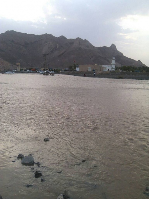     . 

:	uploadfromtaptalk1405957095944.jpg 
:	99 
:	68.0  
:	14879
