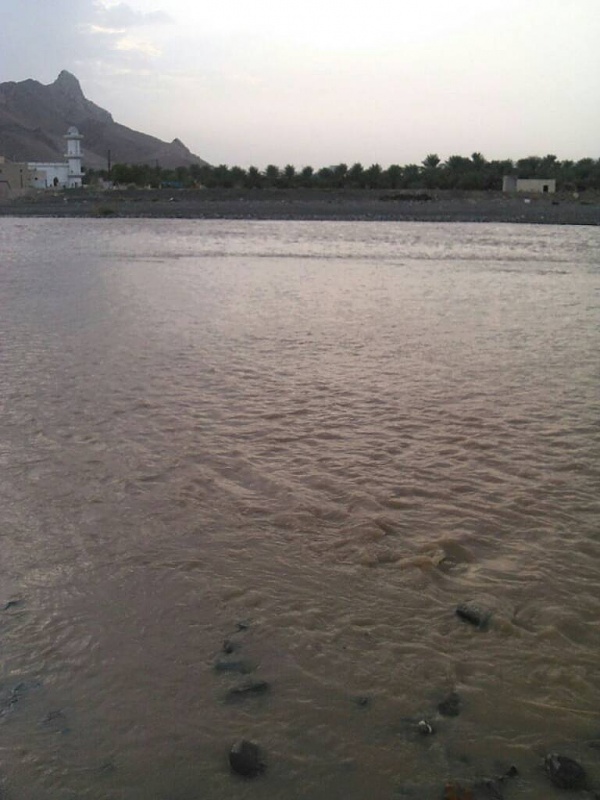     . 

:	uploadfromtaptalk1405957104366.jpg 
:	93 
:	63.1  
:	14880