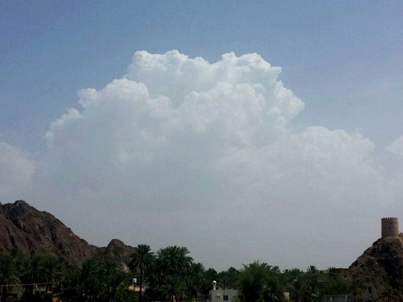     . 

:	uploadfromtaptalk1406109605875.jpg 
:	64 
:	88.2  
:	14908