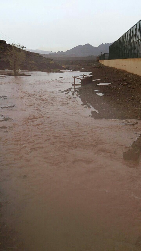     . 

:	uploadfromtaptalk1406129230565.jpg 
:	102 
:	94.4  
:	14909