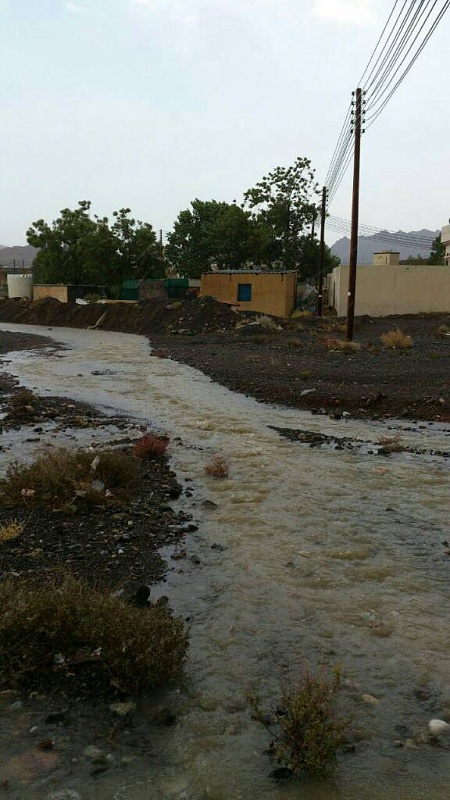     . 

:	uploadfromtaptalk1406129238625.jpg 
:	101 
:	75.2  
:	14910