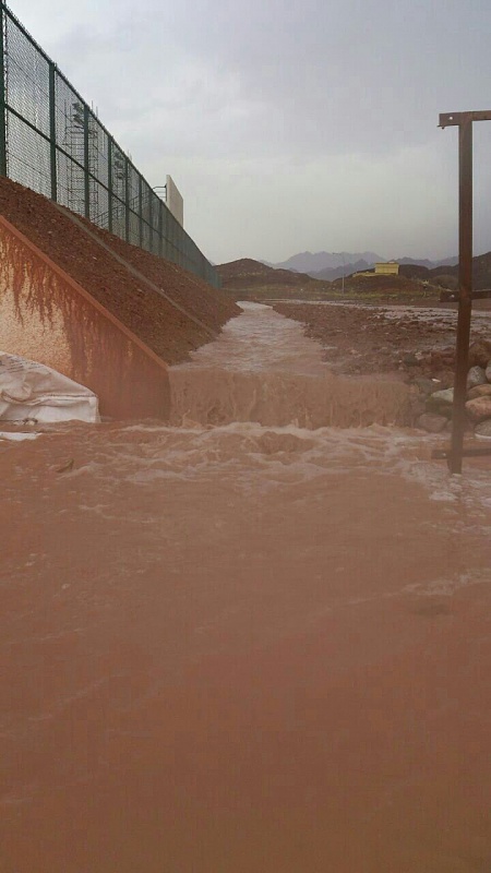     . 

:	uploadfromtaptalk1406129253762.jpg 
:	101 
:	86.2  
:	14912