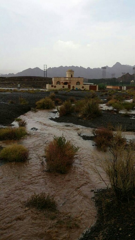     . 

:	uploadfromtaptalk1406129260171.jpg 
:	100 
:	68.5  
:	14913