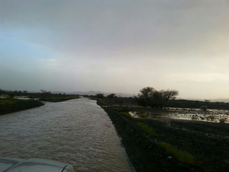     . 

:	uploadfromtaptalk1406129377273.jpg 
:	102 
:	48.9  
:	14914