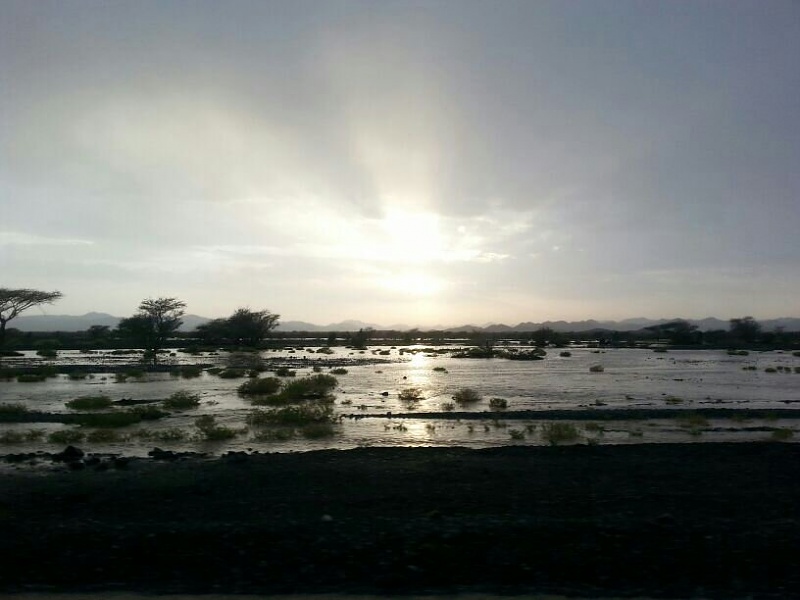     . 

:	uploadfromtaptalk1406129390451.jpg 
:	100 
:	52.0  
:	14916