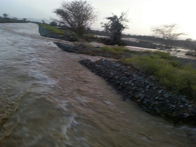     . 

:	uploadfromtaptalk1406129396906.jpg 
:	99 
:	65.4  
:	14917