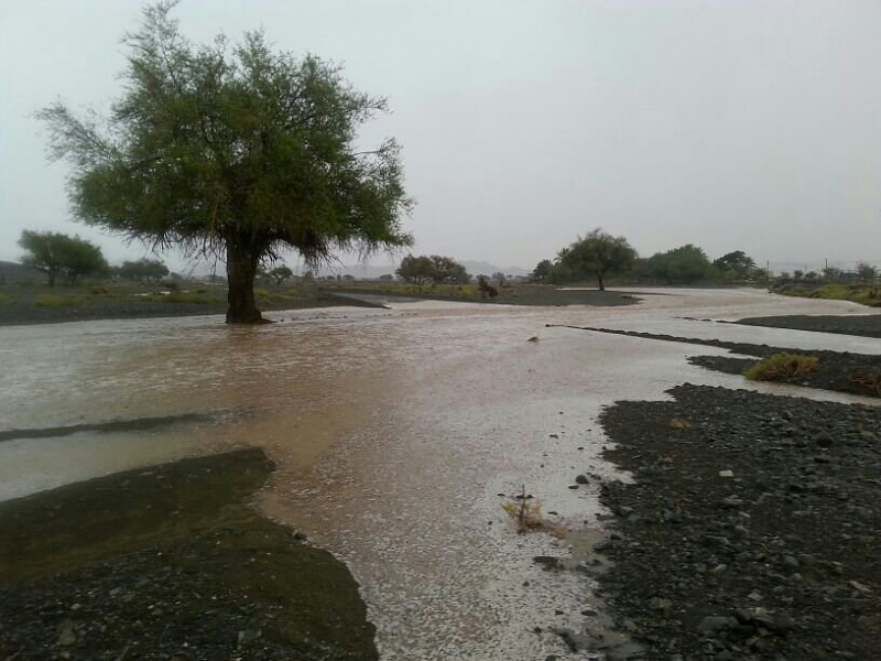     . 

:	uploadfromtaptalk1406129839749.jpg 
:	107 
:	78.9  
:	14918