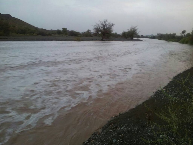     . 

:	uploadfromtaptalk1406134985105.jpg 
:	100 
:	62.2  
:	14922