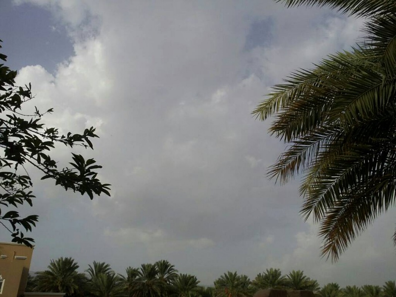    . 

:	uploadfromtaptalk1406554552288.jpg 
:	101 
:	71.7  
:	14980