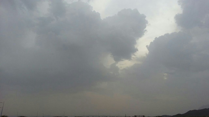     . 

:	uploadfromtaptalk1407077725544.jpg 
:	109 
:	45.6  
:	15047