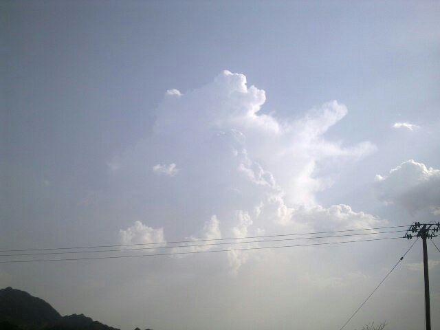 :	uploadfromtaptalk1407248686018.jpg
: 104
:	21.8 