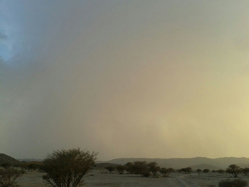     . 

:	uploadfromtaptalk1407249666538.jpg 
:	114 
:	83.3  
:	15106