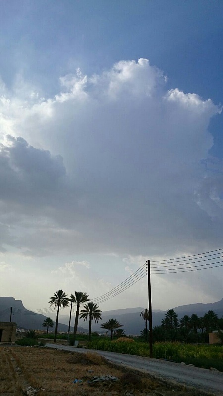     . 

:	uploadfromtaptalk1407249770478.jpg 
:	117 
:	81.3  
:	15107