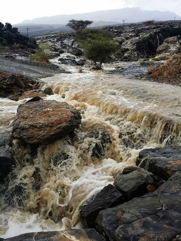     . 

:	uploadfromtaptalk1407331197117.jpg 
:	102 
:	142.8  
:	15132