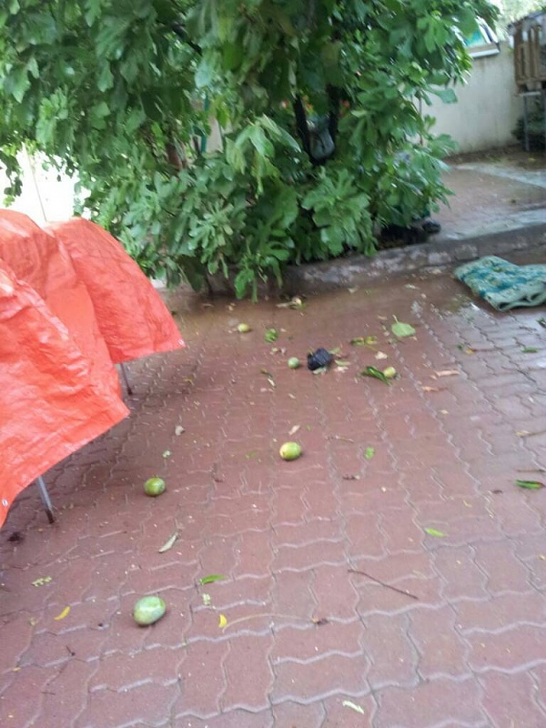     . 

:	uploadfromtaptalk1407514763608.jpg 
:	97 
:	89.0  
:	15249