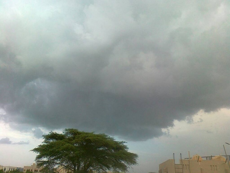     . 

:	uploadfromtaptalk1407674442059.jpg 
:	60 
:	45.5  
:	15500