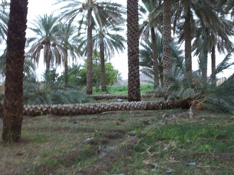     . 

:	uploadfromtaptalk1407684740468.jpg 
:	60 
:	118.8  
:	15533
