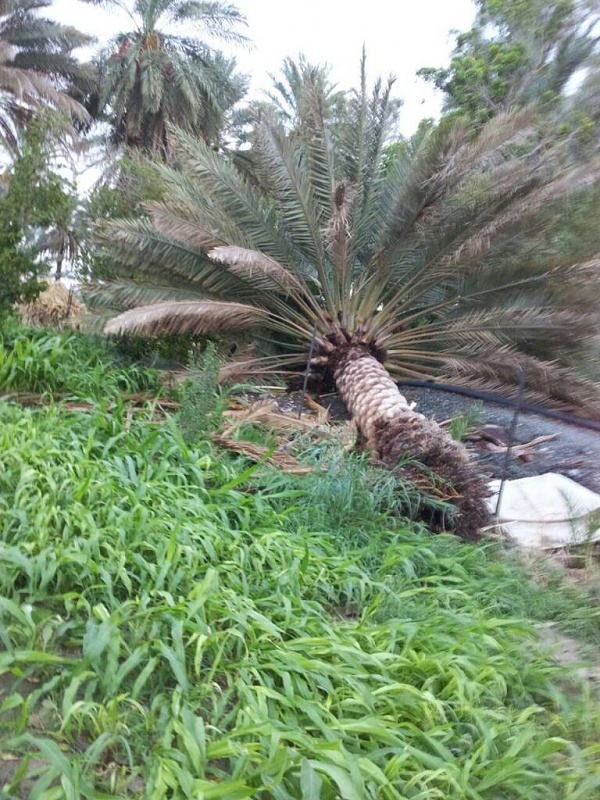     . 

:	uploadfromtaptalk1407684750630.jpg 
:	66 
:	136.6  
:	15534