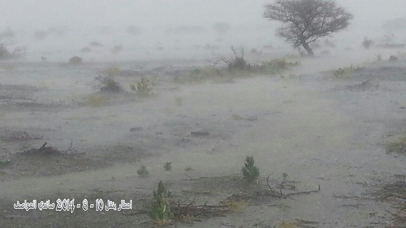     . 

:	uploadfromtaptalk1407699215259.jpg 
:	68 
:	90.9  
:	15552