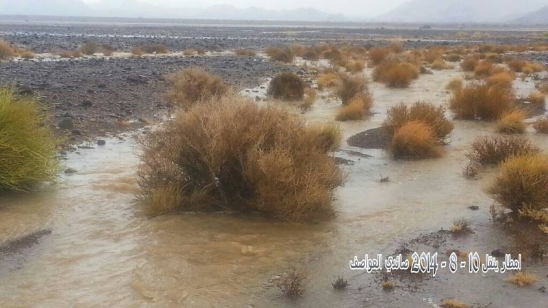     . 

:	uploadfromtaptalk1407699237109.jpg 
:	68 
:	72.4  
:	15555