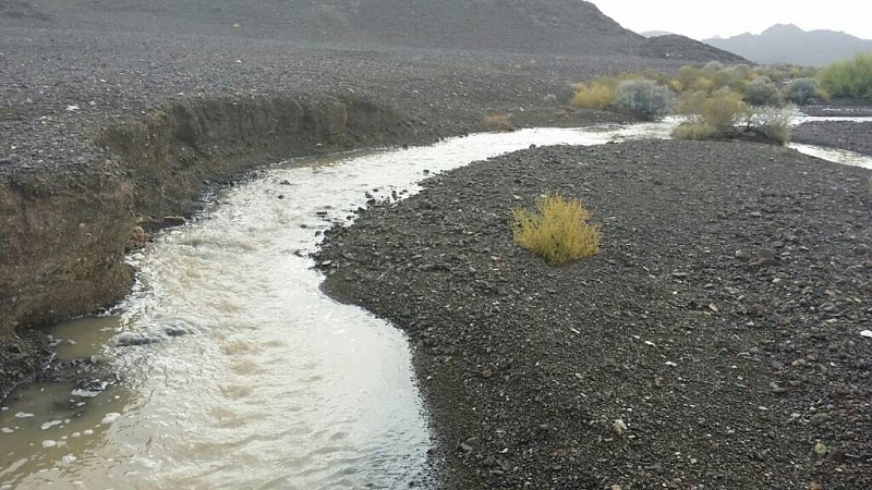     . 

:	uploadfromtaptalk1407699389941.jpg 
:	74 
:	111.7  
:	15557