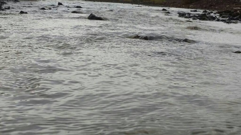     . 

:	uploadfromtaptalk1407699397357.jpg 
:	78 
:	77.9  
:	15558