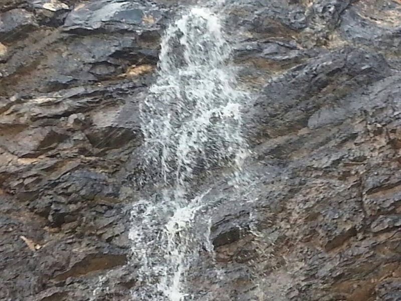     . 

:	uploadfromtaptalk1407699412994.jpg 
:	75 
:	118.9  
:	15560