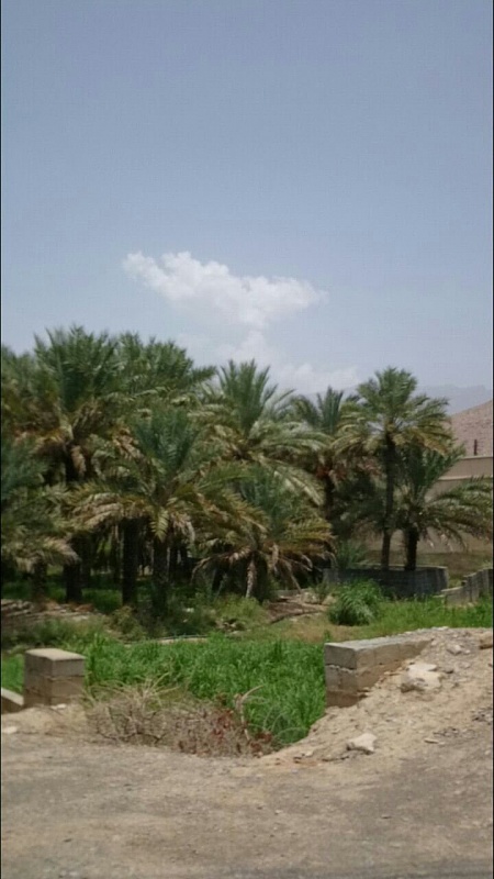     . 

:	uploadfromtaptalk1407744009107.jpg 
:	44 
:	102.3  
:	15562