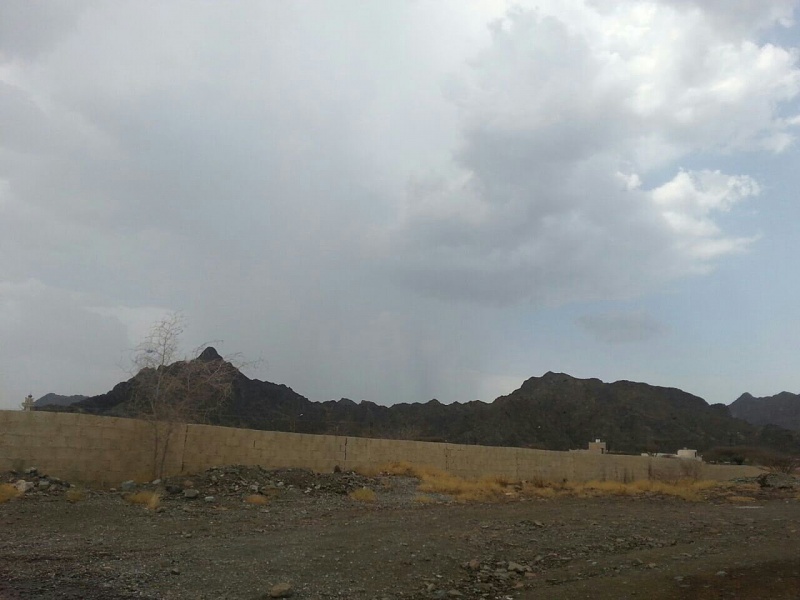     . 

:	uploadfromtaptalk1407749468705.jpg 
:	108 
:	94.2  
:	15571